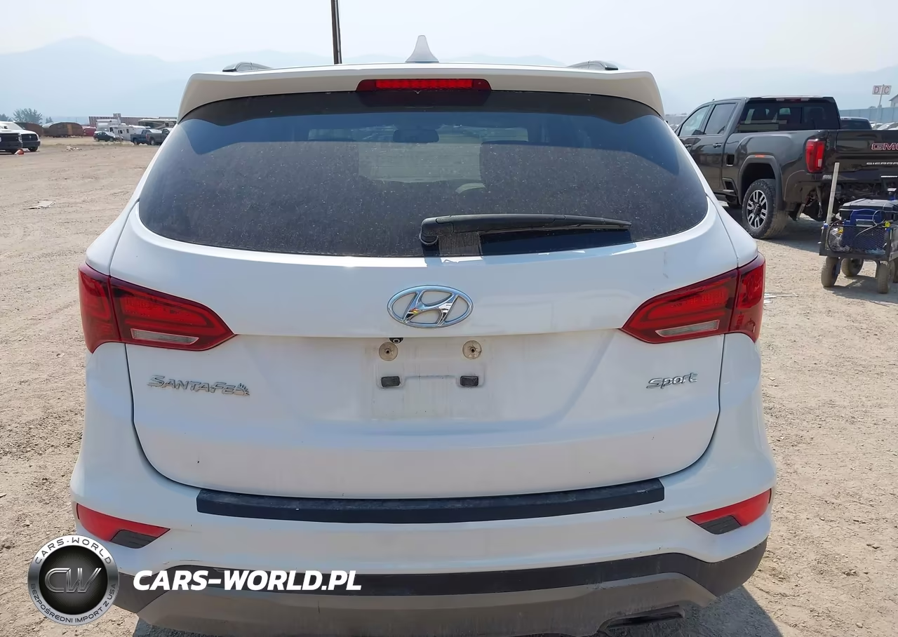 2017 Hyundai Santa Fe Sport 2.4L VIN:5NMZU3LB9HH007888 - 17