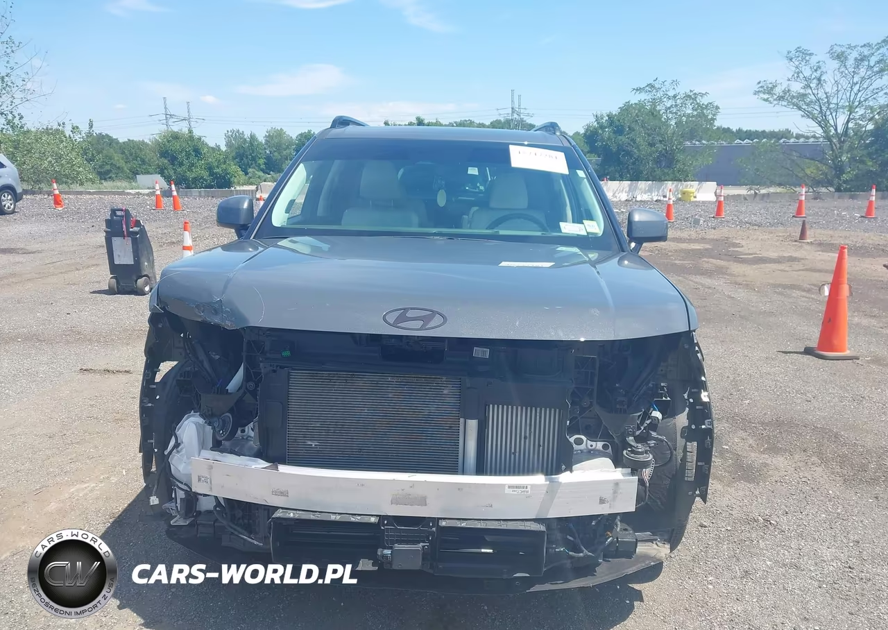 2025 Hyundai Santa Fe Calligraphy VIN:5NMP5DGL2SH130078 - 12
