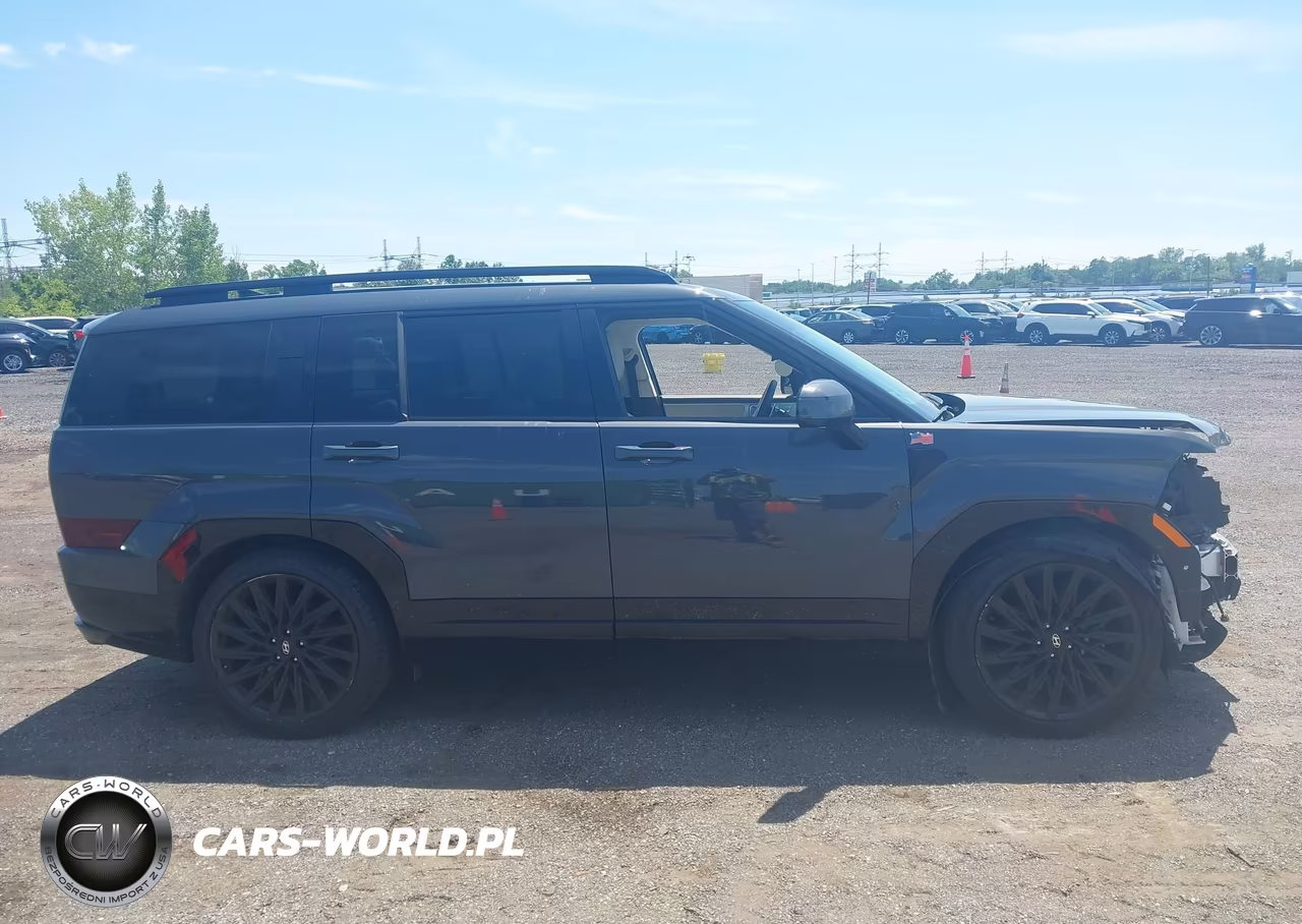 2025 Hyundai Santa Fe Calligraphy VIN:5NMP5DGL2SH130078 - 13