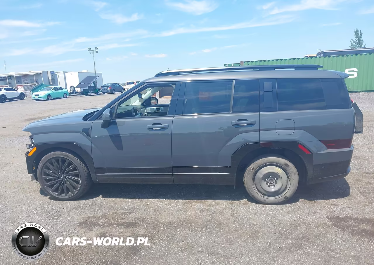 2025 Hyundai Santa Fe Calligraphy VIN:5NMP5DGL2SH130078 - 14