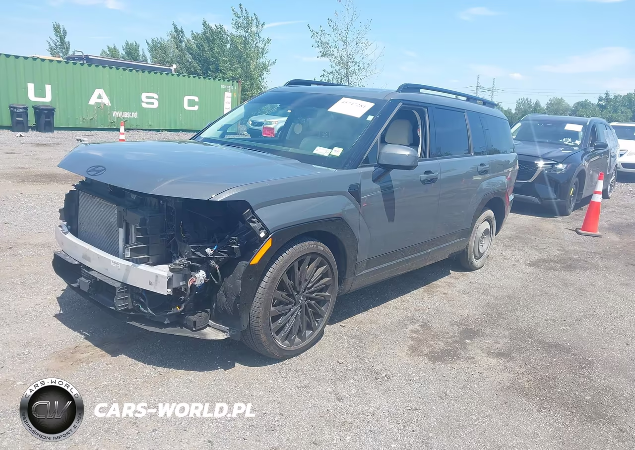 2025 Hyundai Santa Fe Calligraphy VIN:5NMP5DGL2SH130078 - 2
