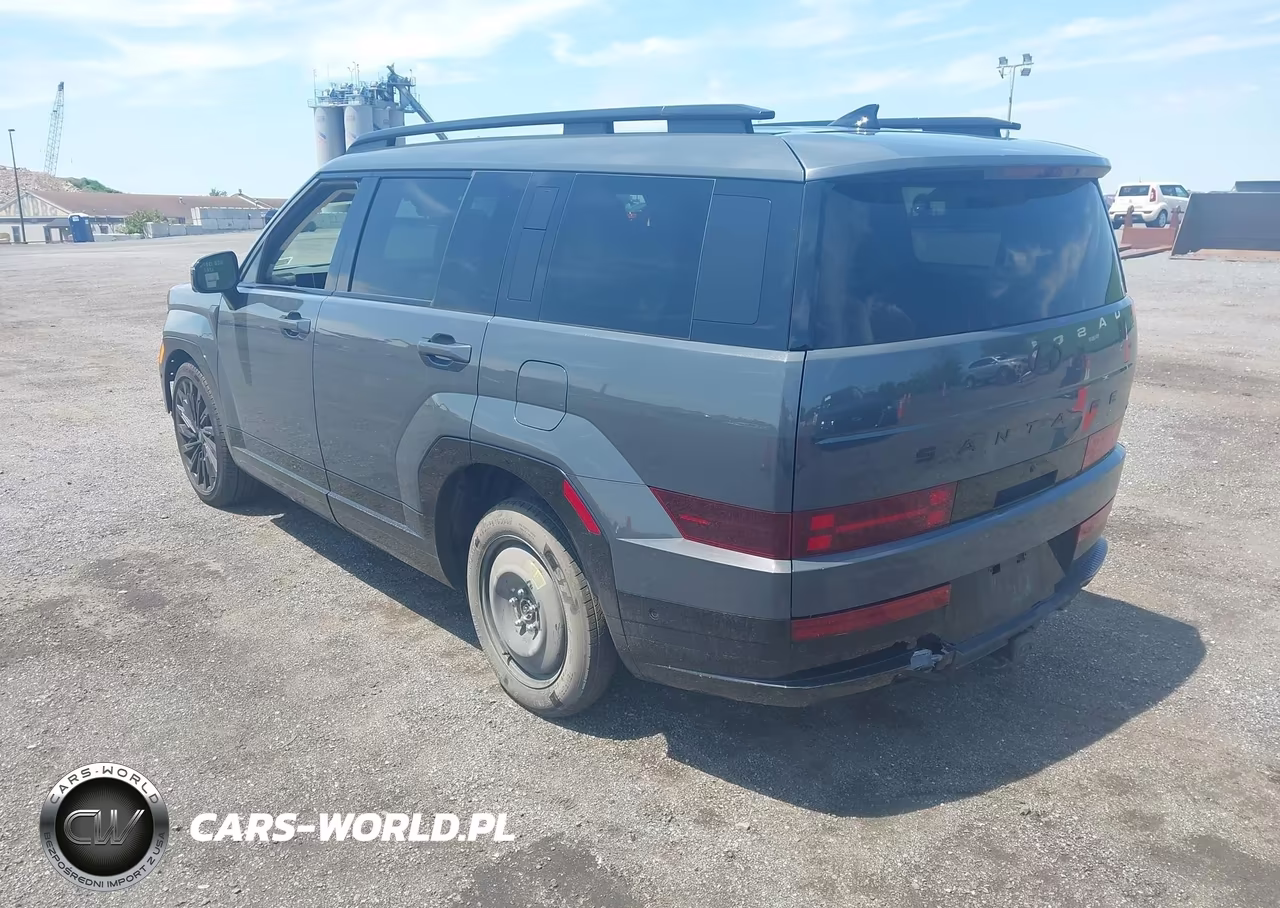 2025 Hyundai Santa Fe Calligraphy VIN:5NMP5DGL2SH130078 - 3
