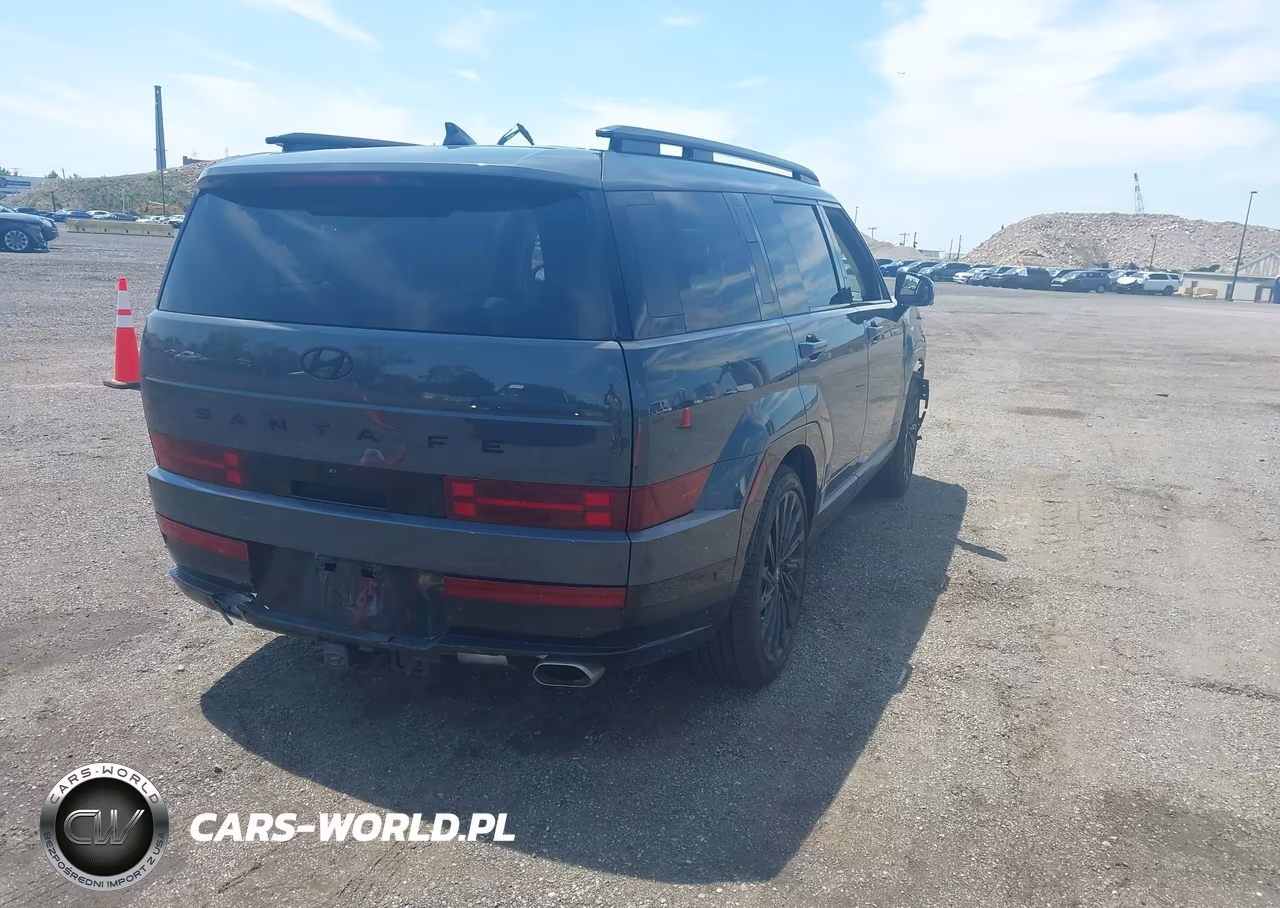 2025 Hyundai Santa Fe Calligraphy VIN:5NMP5DGL2SH130078 - 4