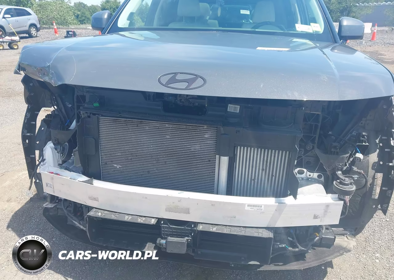 2025 Hyundai Santa Fe Calligraphy VIN:5NMP5DGL2SH130078 - 6