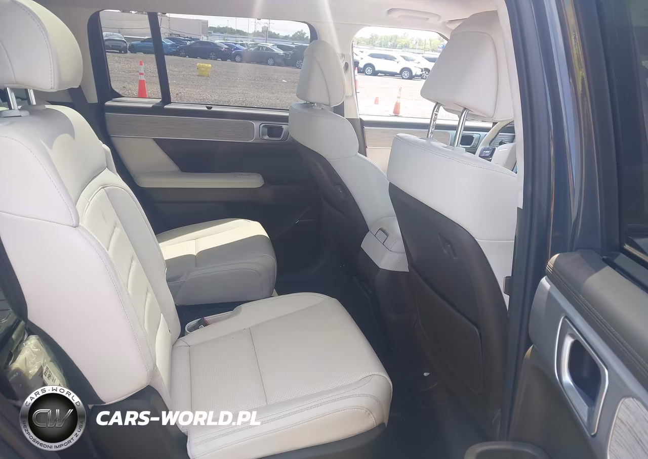 2025 Hyundai Santa Fe Calligraphy VIN:5NMP5DGL2SH130078 - 8