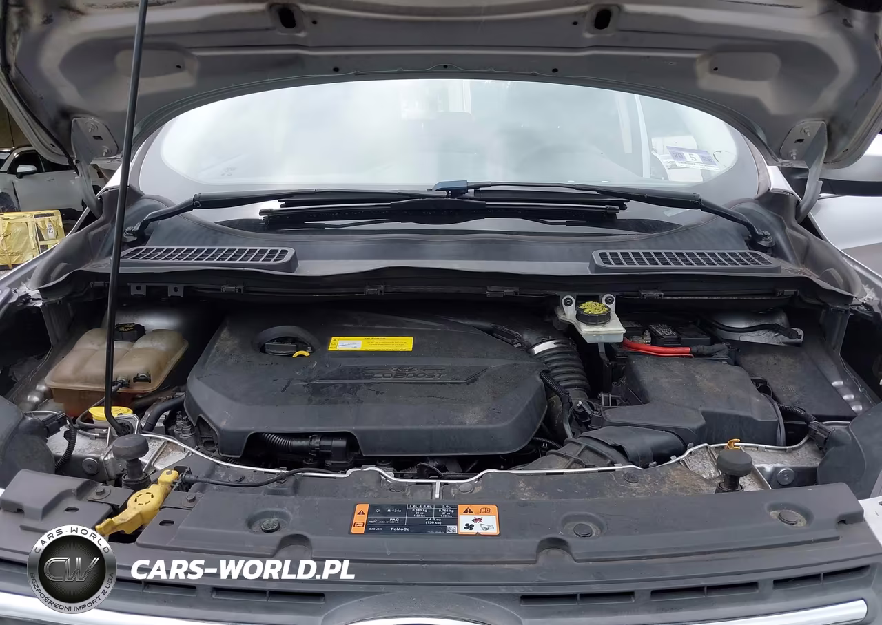 2015 Ford Escape Se VIN:1FMCU0GX7FUB74021 - 10