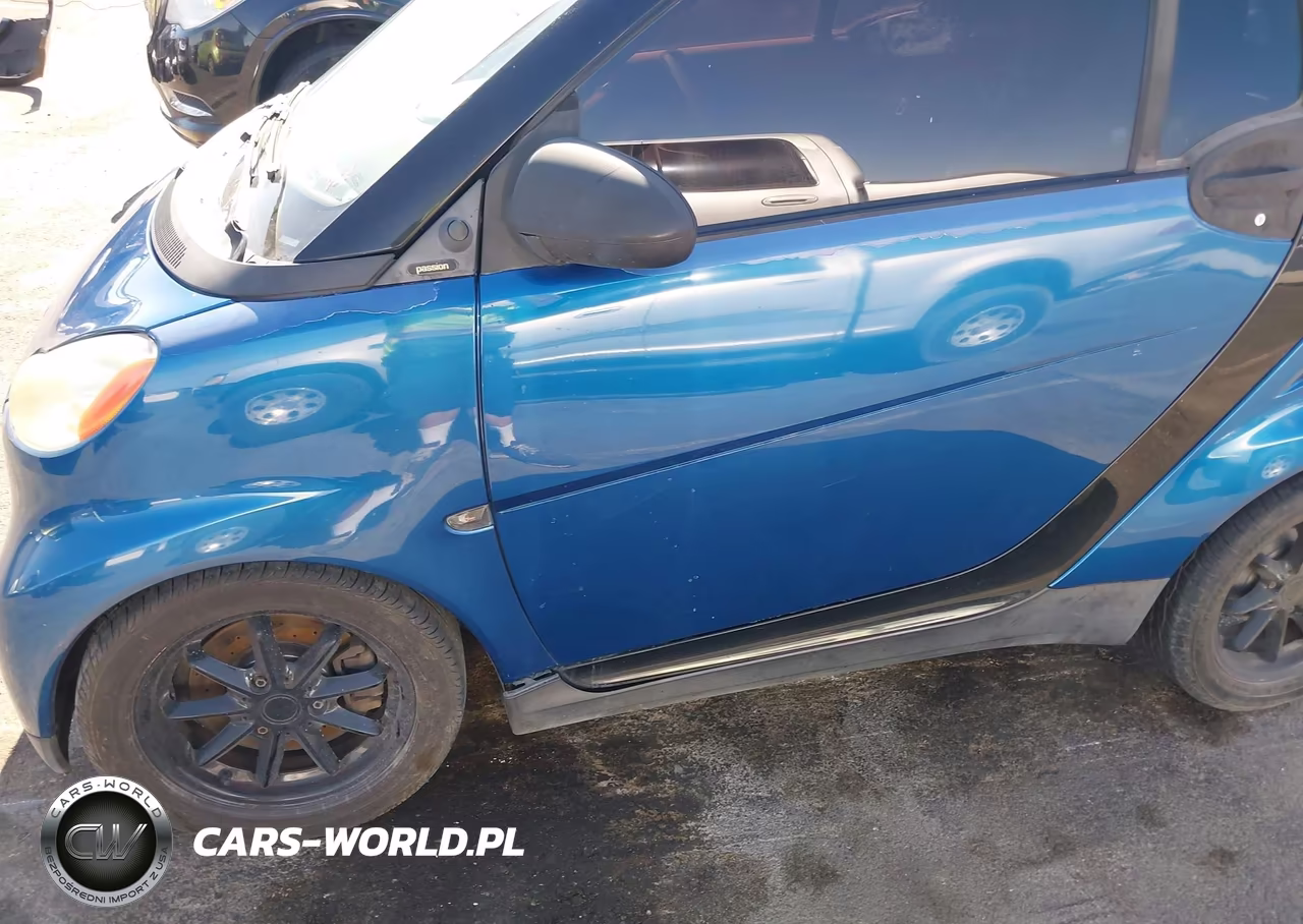 2009 Smart Fortwo Brabus-Passion VIN:WMEEK31X39K263647 - 6