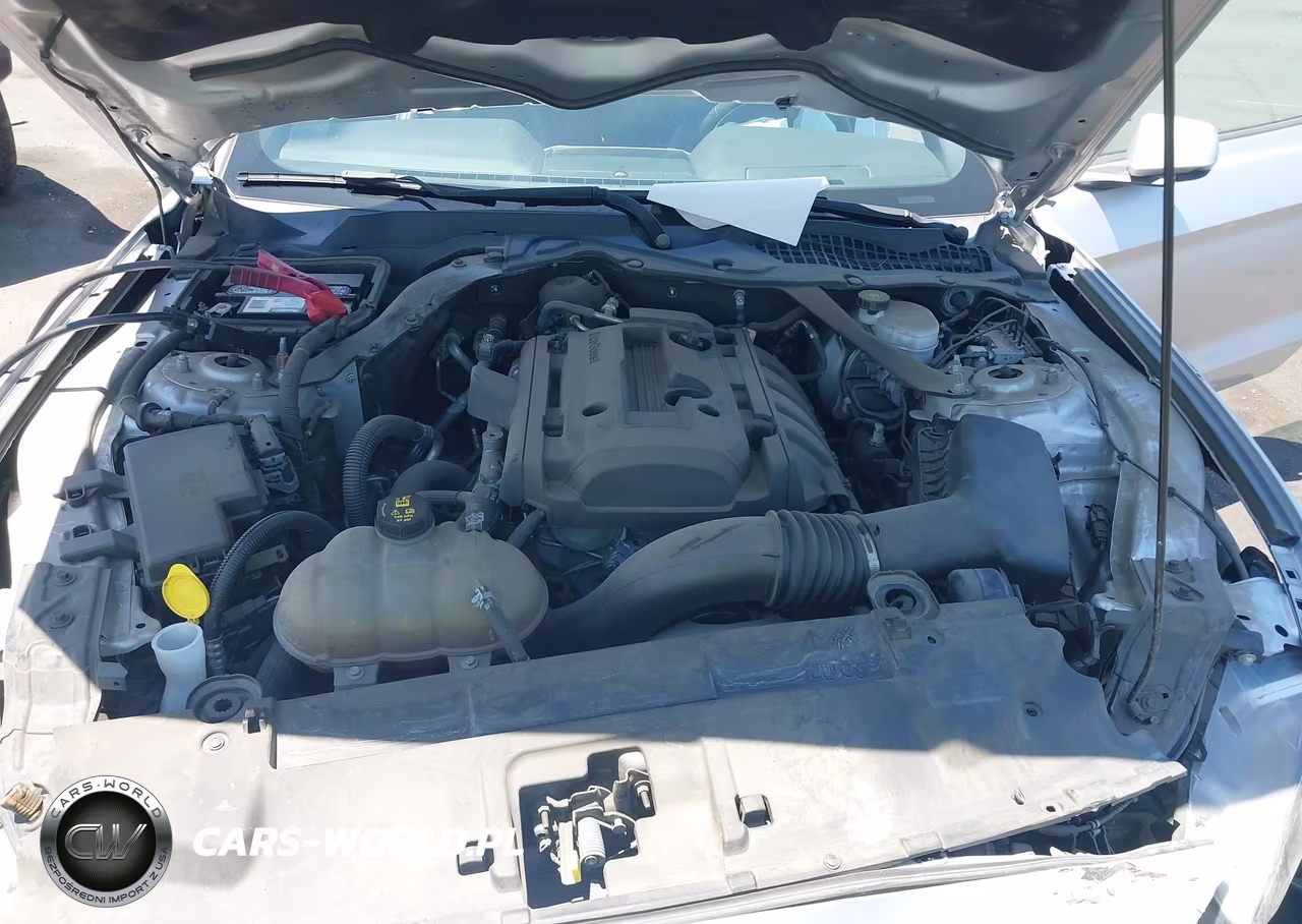 2019 Ford Mustang Ecoboost Premium VIN:1FATP8UH5K5170048 - 10
