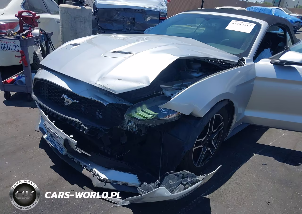 2019 Ford Mustang Ecoboost Premium VIN:1FATP8UH5K5170048 - 12