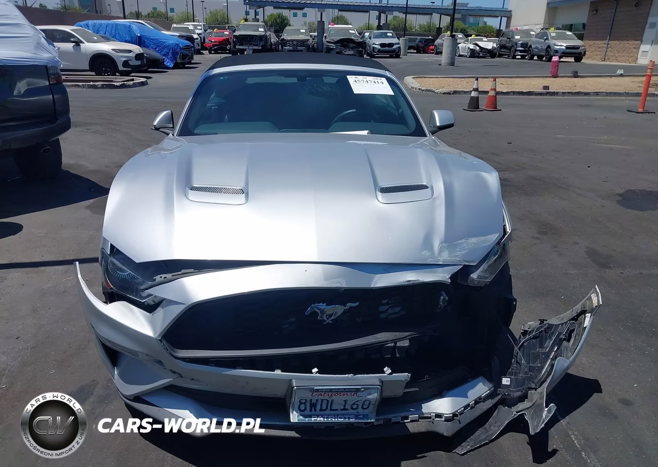 2019 Ford Mustang Ecoboost Premium VIN:1FATP8UH5K5170048 - 13