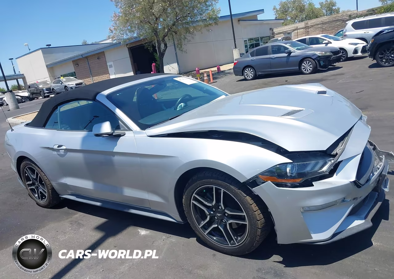 2019 Ford Mustang Ecoboost Premium VIN:1FATP8UH5K5170048 - 14