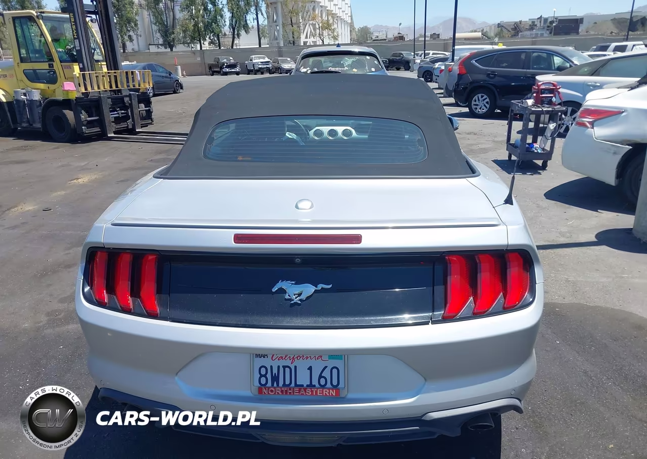 2019 Ford Mustang Ecoboost Premium VIN:1FATP8UH5K5170048 - 17