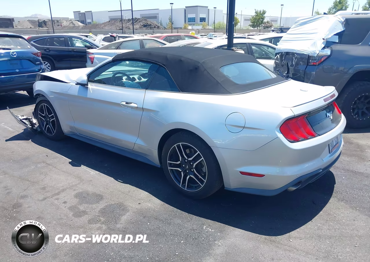 2019 Ford Mustang Ecoboost Premium VIN:1FATP8UH5K5170048 - 3