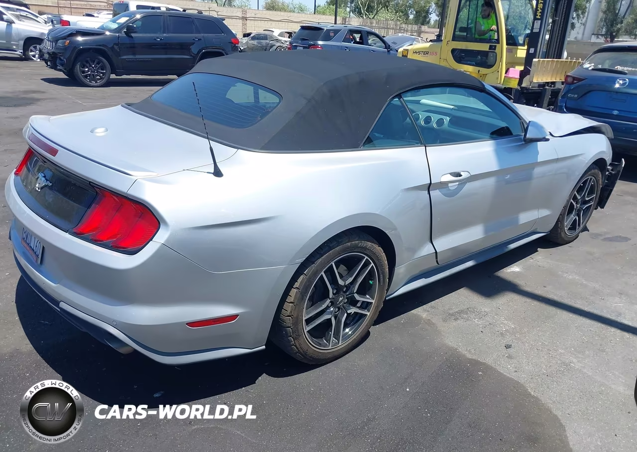 2019 Ford Mustang Ecoboost Premium VIN:1FATP8UH5K5170048 - 4