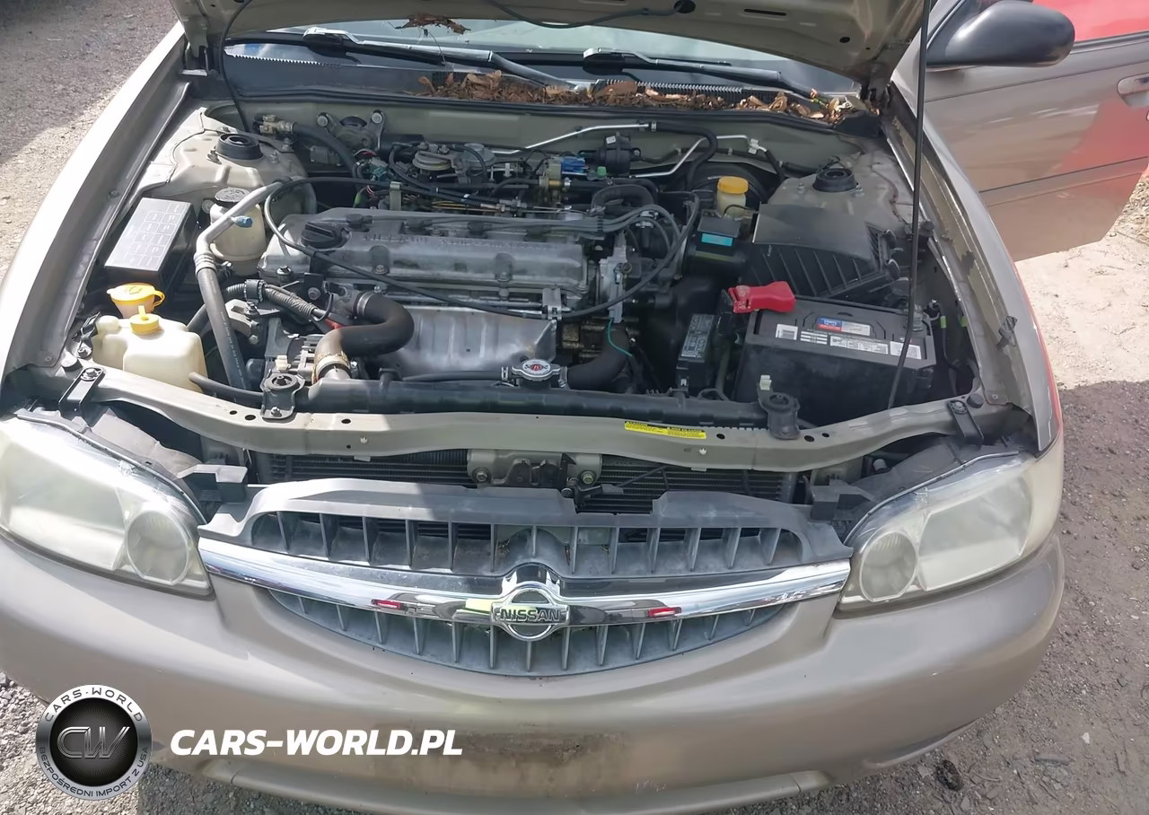 2001 Nissan Altima Gxe VIN:1N4DL01D61C172999 - 10