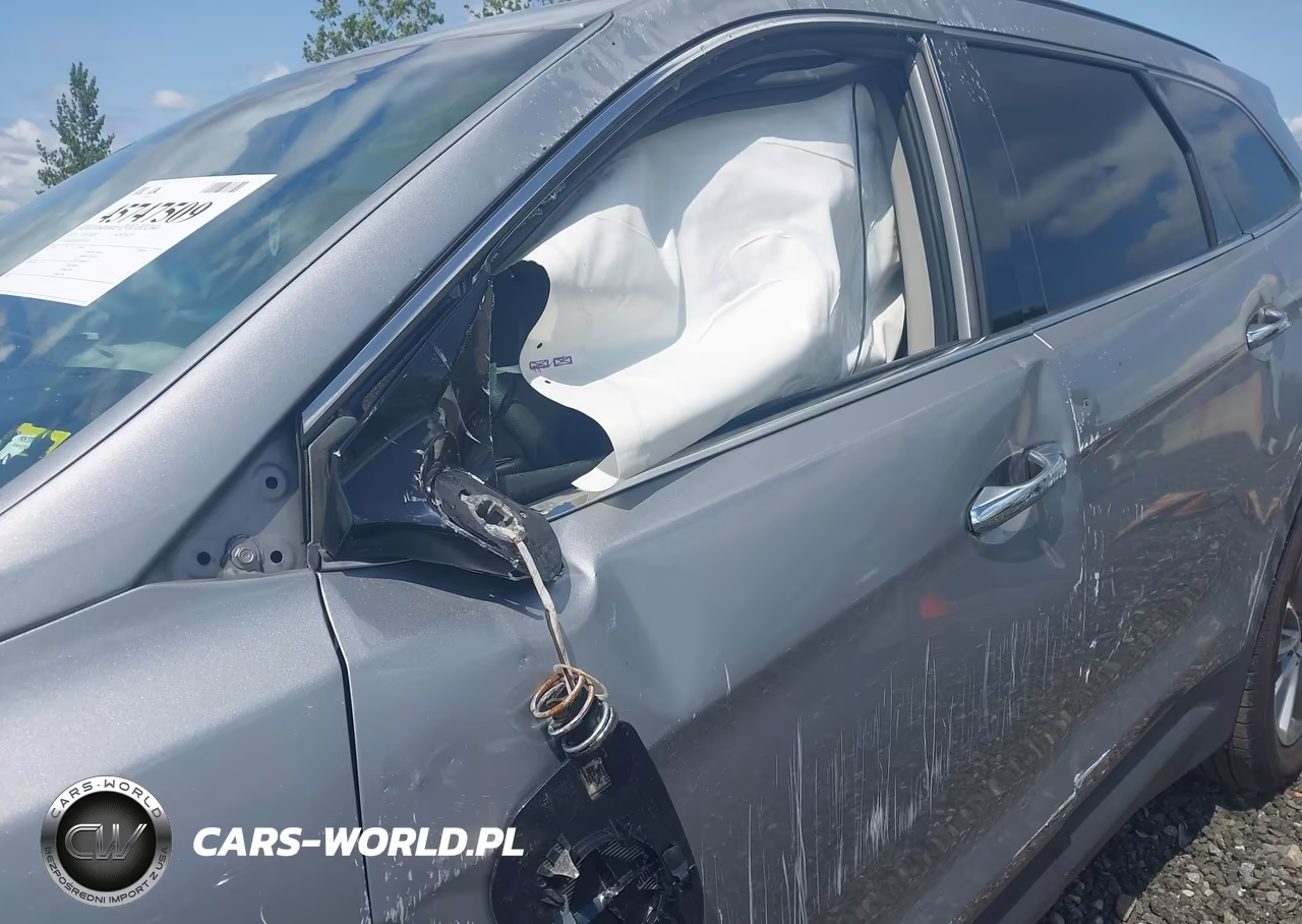 2017 Hyundai Santa Fe Se VIN:KM8SMDHF9HU207824 - 17