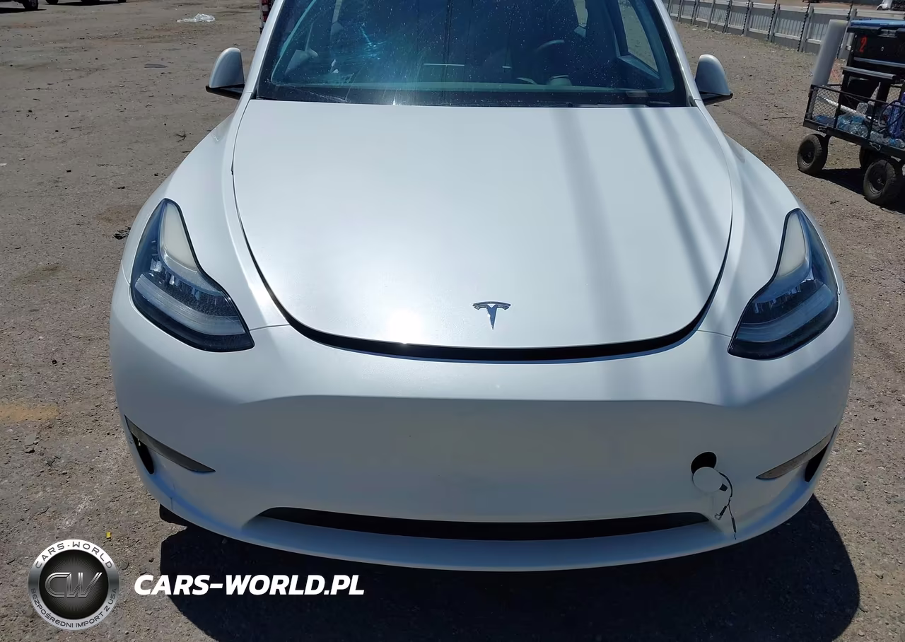 2023 Tesla Model Y Awd-Long Range Dual Motor All-Wheel Drive VIN:7SAYGDEE6PA130385 - 10