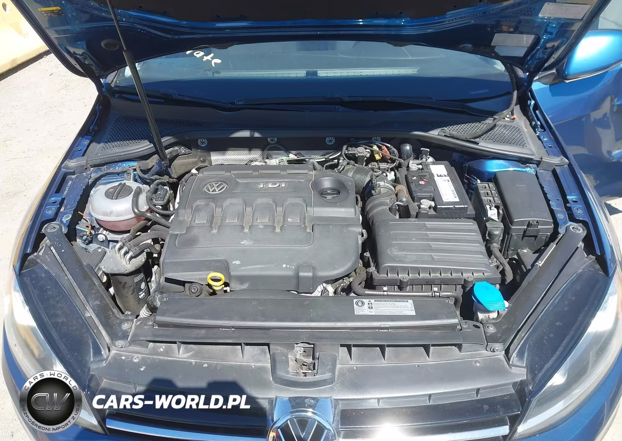 2015 Volkswagen Golf Tdi Sel 4-Door VIN:3VWRA7AU0FM082748 - 10