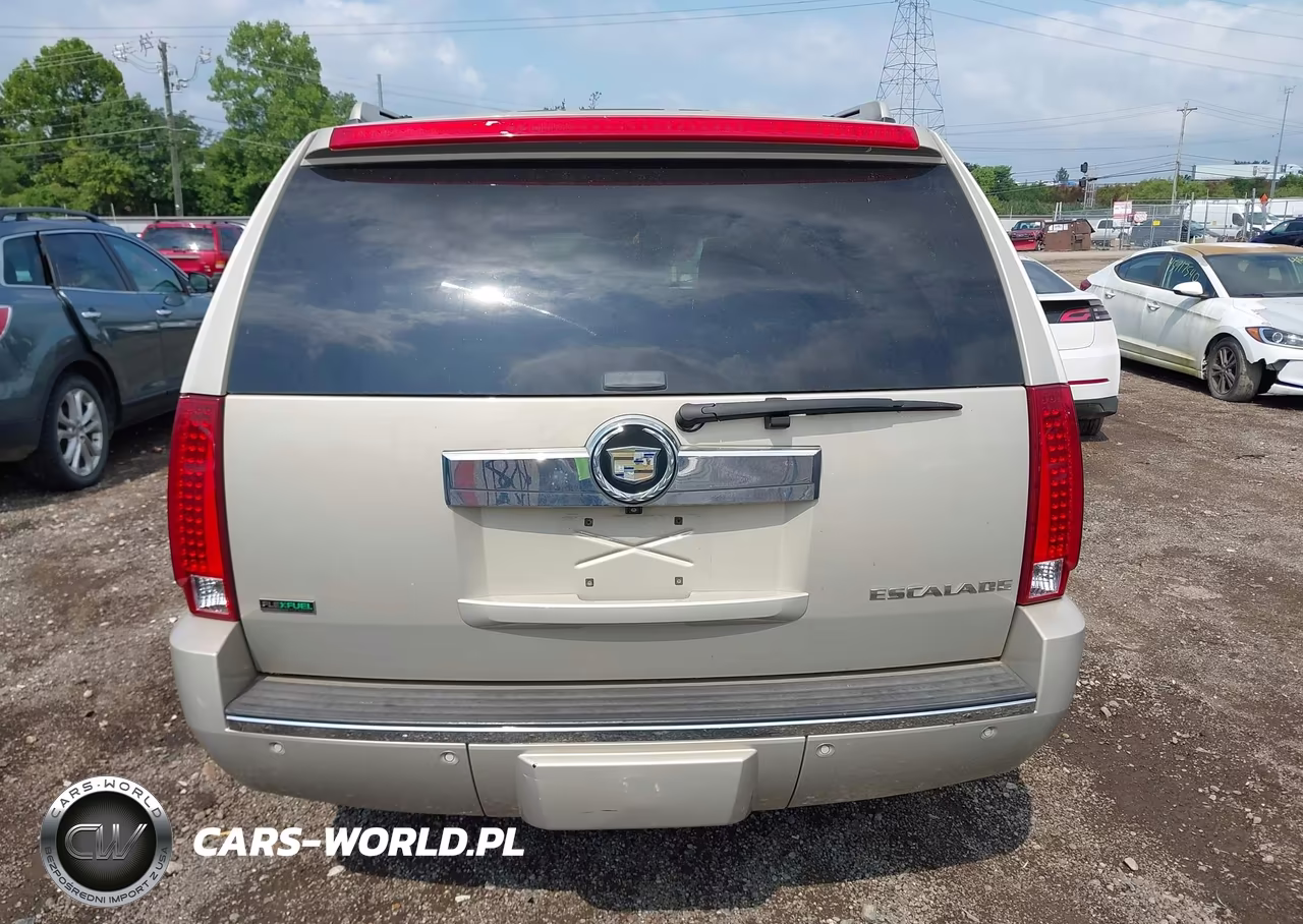2009 Cadillac Escalade Standard VIN:1GYFK23289R205338 - 16
