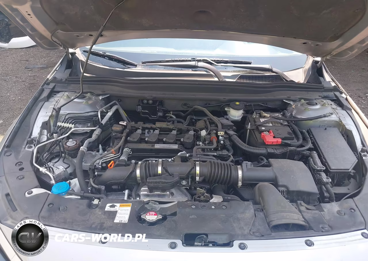 2019 Honda Accord Lx VIN:1HGCV1F1XKA006875 - 10