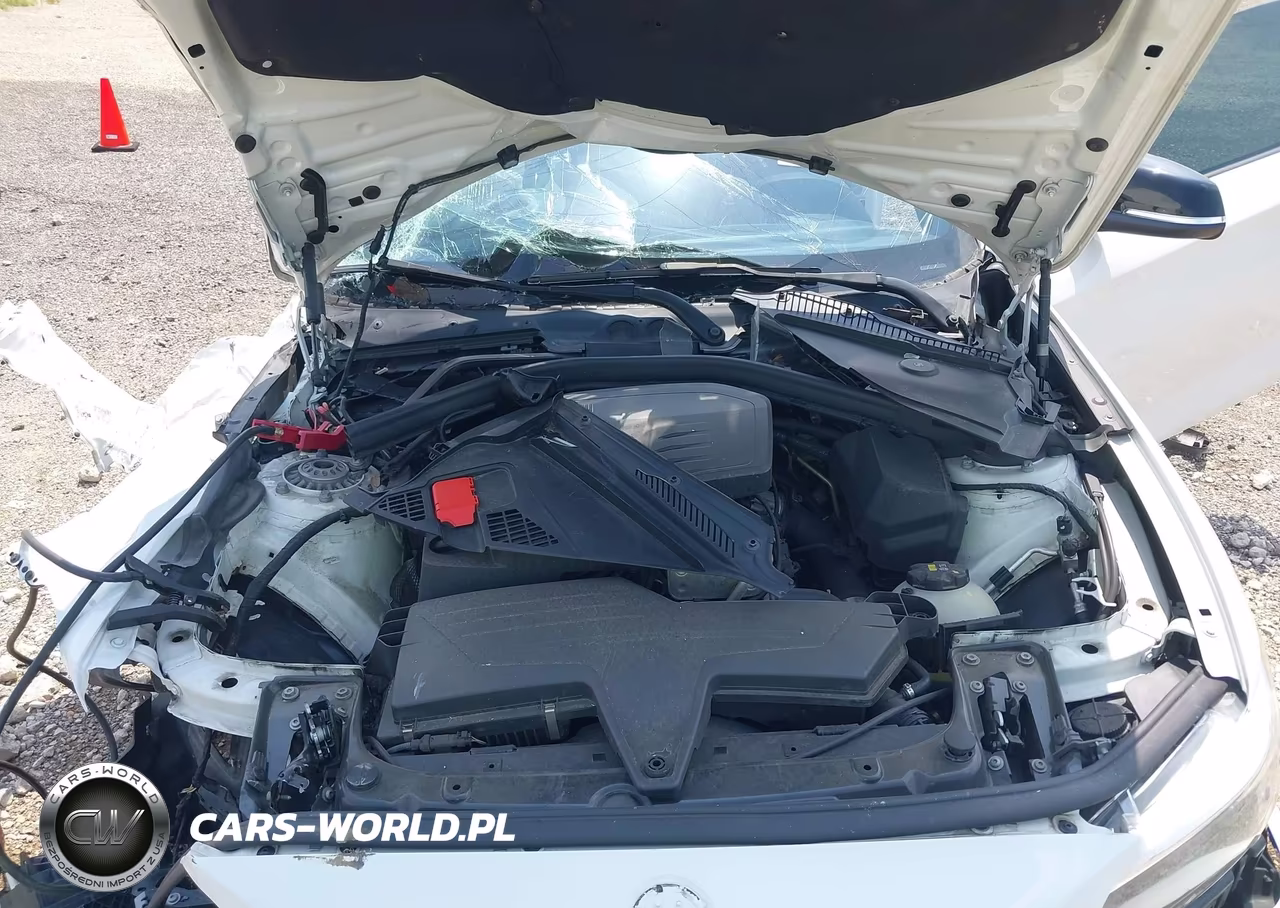 2016 BMW 228I xDrive VIN:WBA1G9C58GV598750 - 10