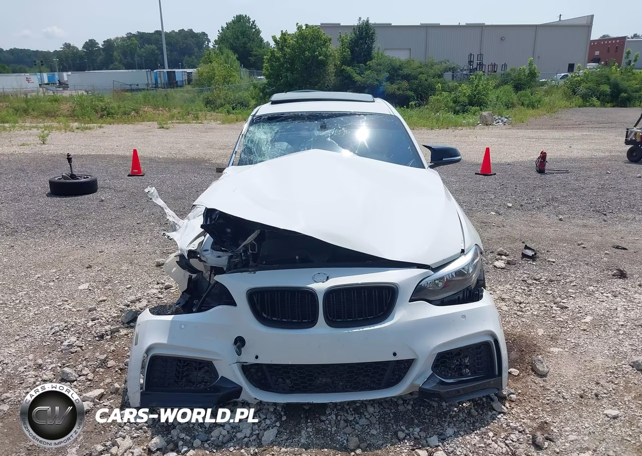 2016 BMW 228I xDrive VIN:WBA1G9C58GV598750 - 13