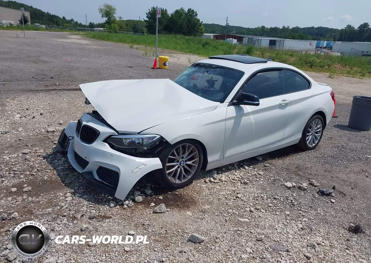 2016 BMW 228I xDrive VIN:WBA1G9C58GV598750 - 2