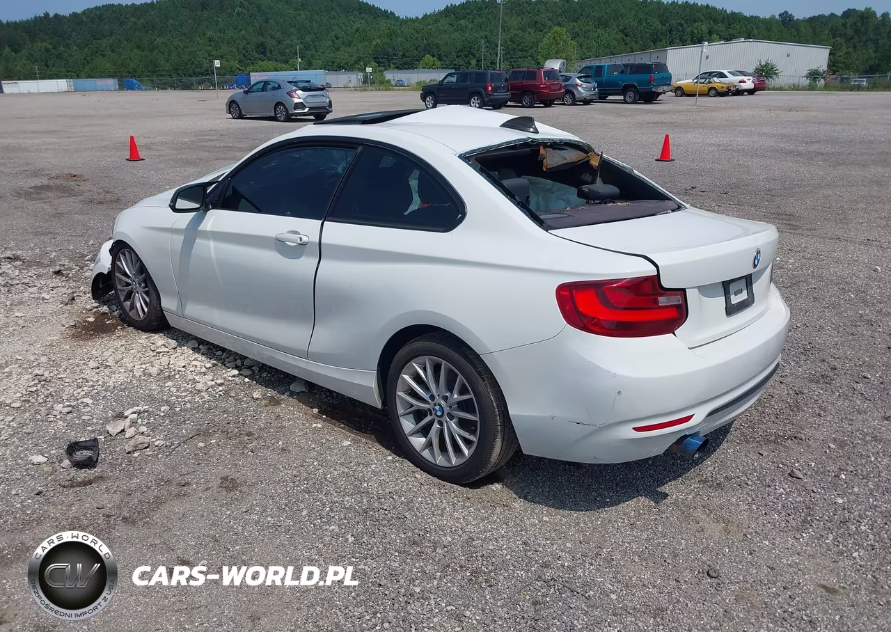 2016 BMW 228I xDrive VIN:WBA1G9C58GV598750 - 3
