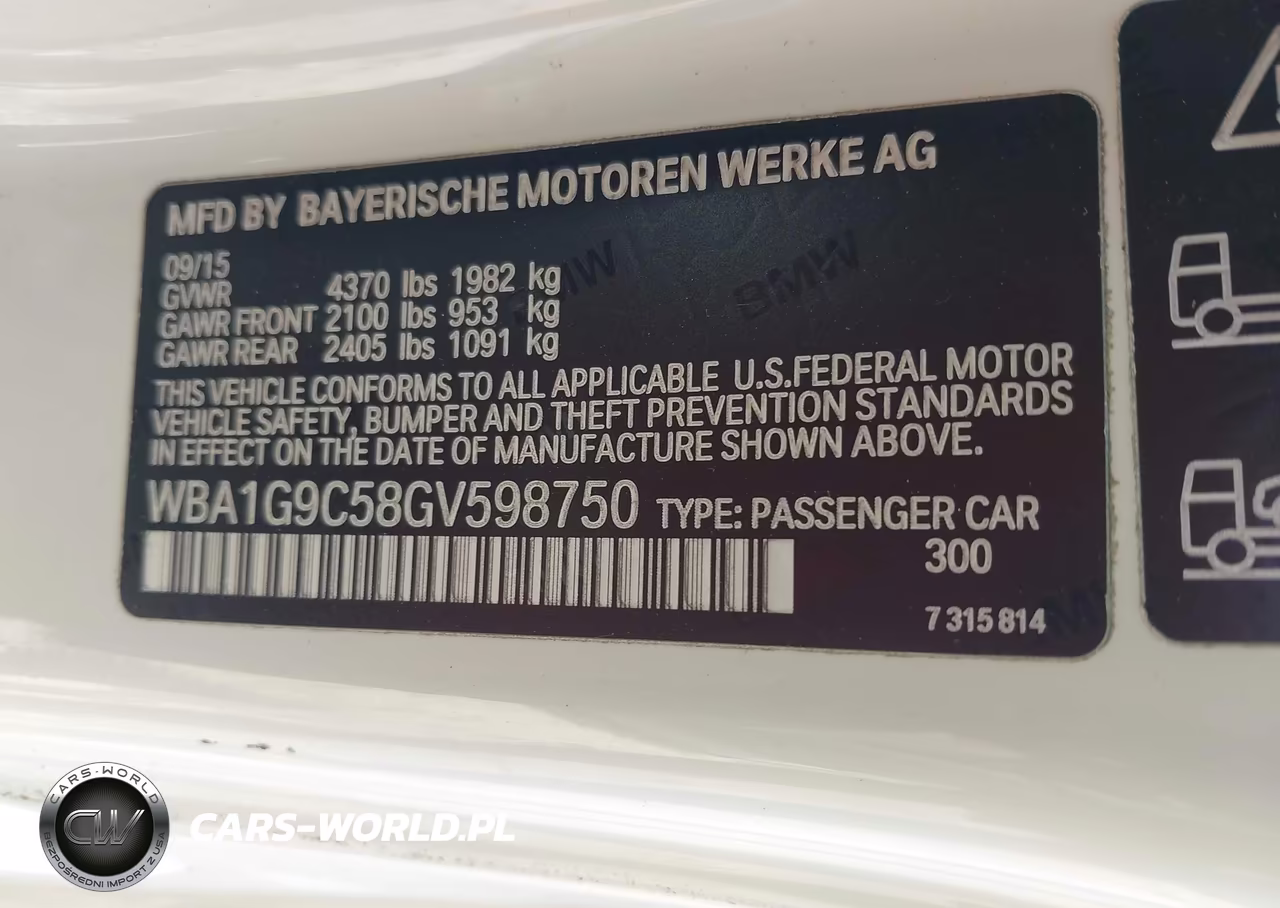 2016 BMW 228I xDrive VIN:WBA1G9C58GV598750 - 9