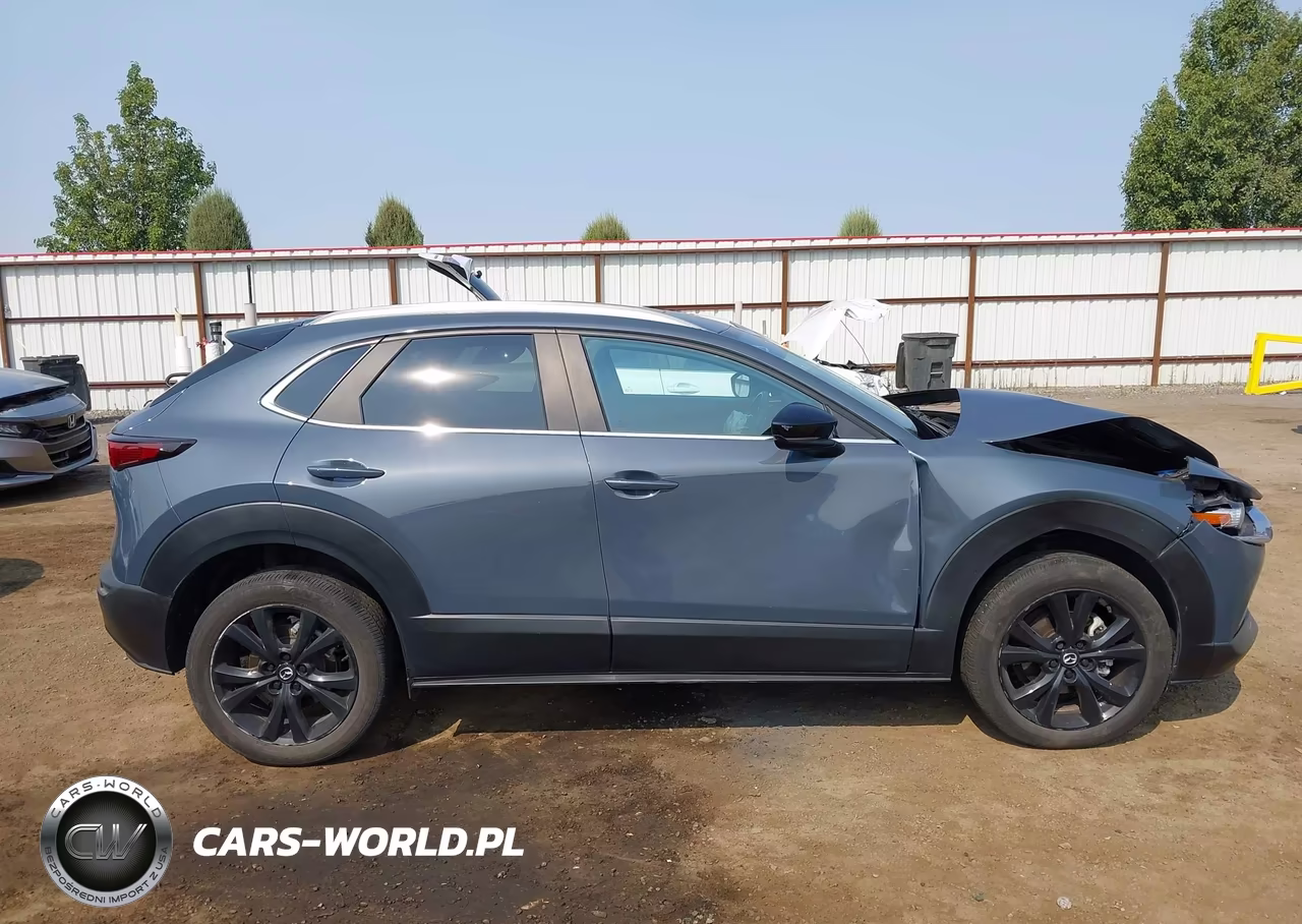 2023 Mazda Cx-30 2.5 S Carbon Edition VIN:3MVDMBCM3PM558852 - 12