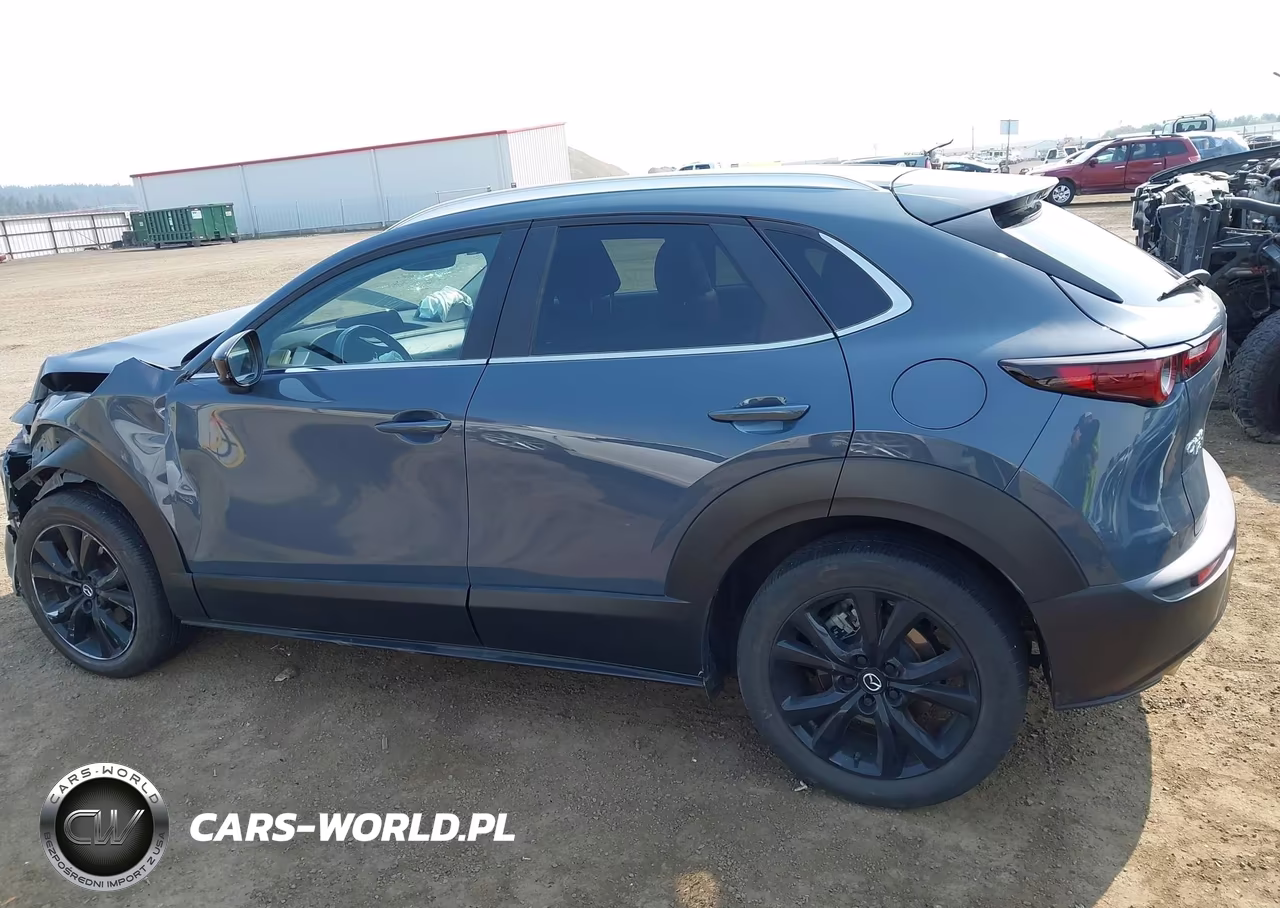 2023 Mazda Cx-30 2.5 S Carbon Edition VIN:3MVDMBCM3PM558852 - 13