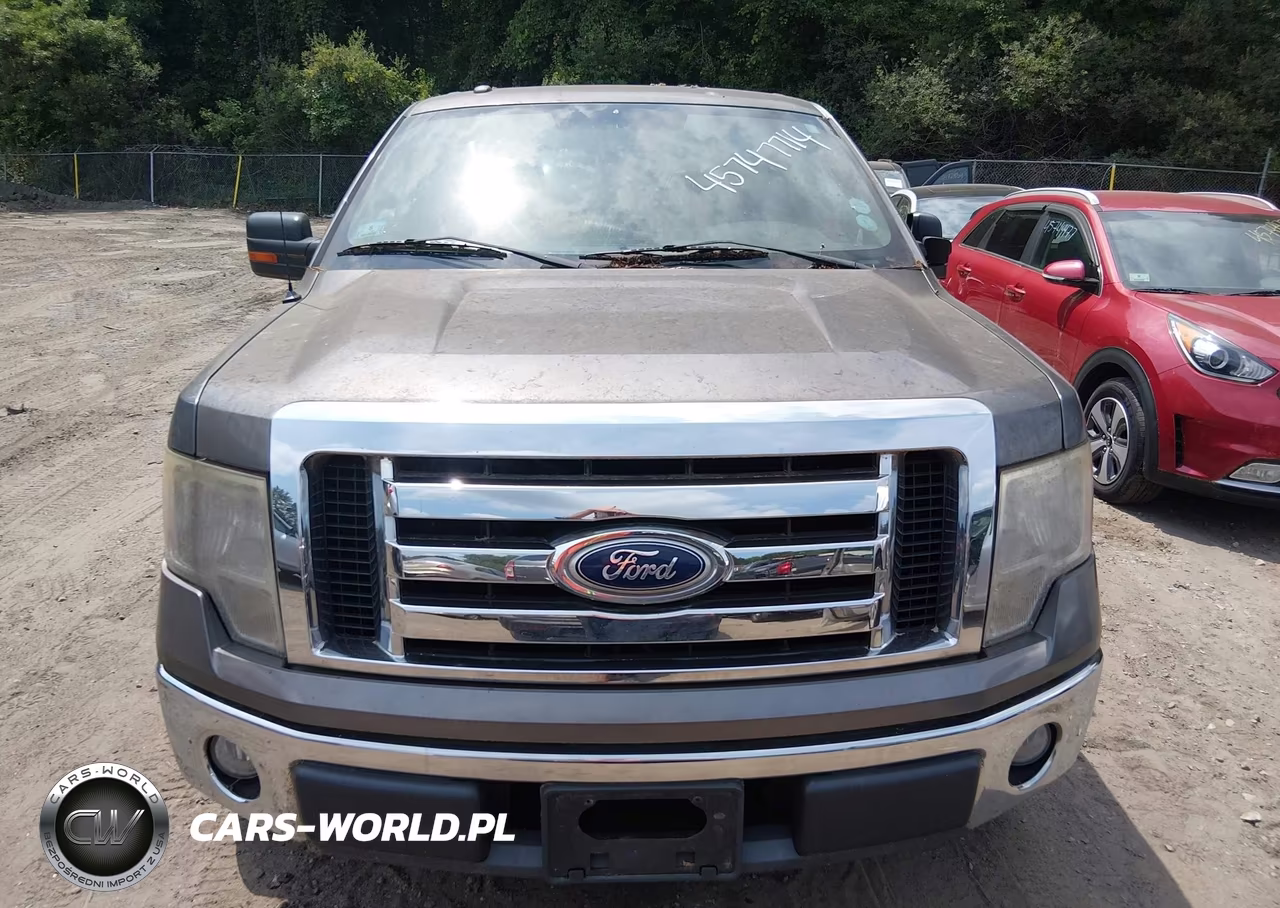 2010 Ford F-150 Fx2 Sport-Stx-Xl-Xlt VIN:1FTEX1C88AFC66082 - 12