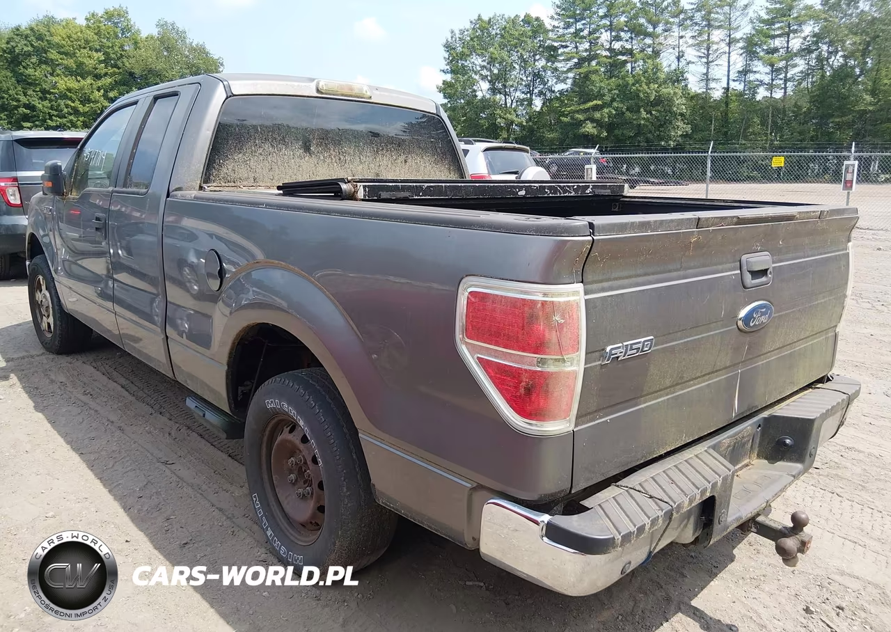2010 Ford F-150 Fx2 Sport-Stx-Xl-Xlt VIN:1FTEX1C88AFC66082 - 3