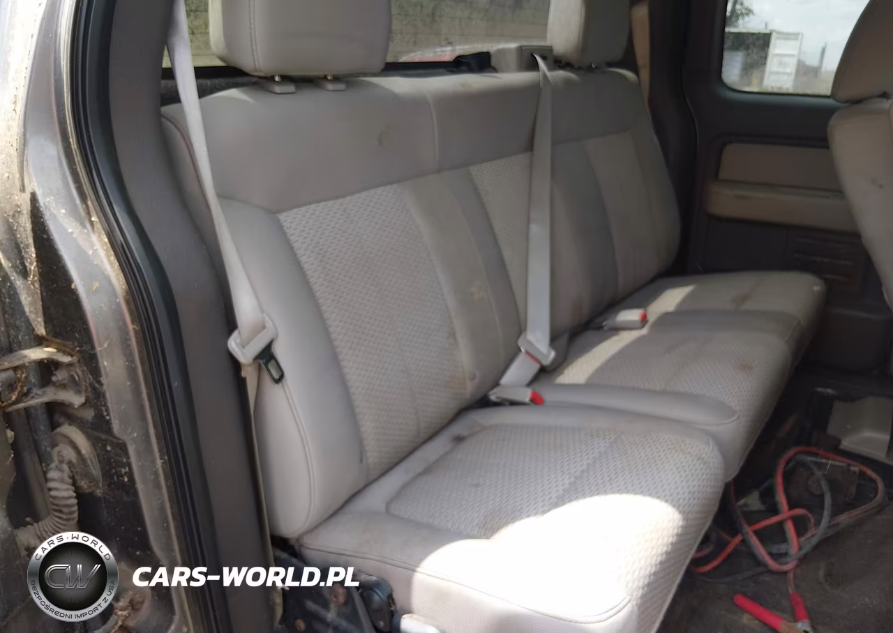 2010 Ford F-150 Fx2 Sport-Stx-Xl-Xlt VIN:1FTEX1C88AFC66082 - 8