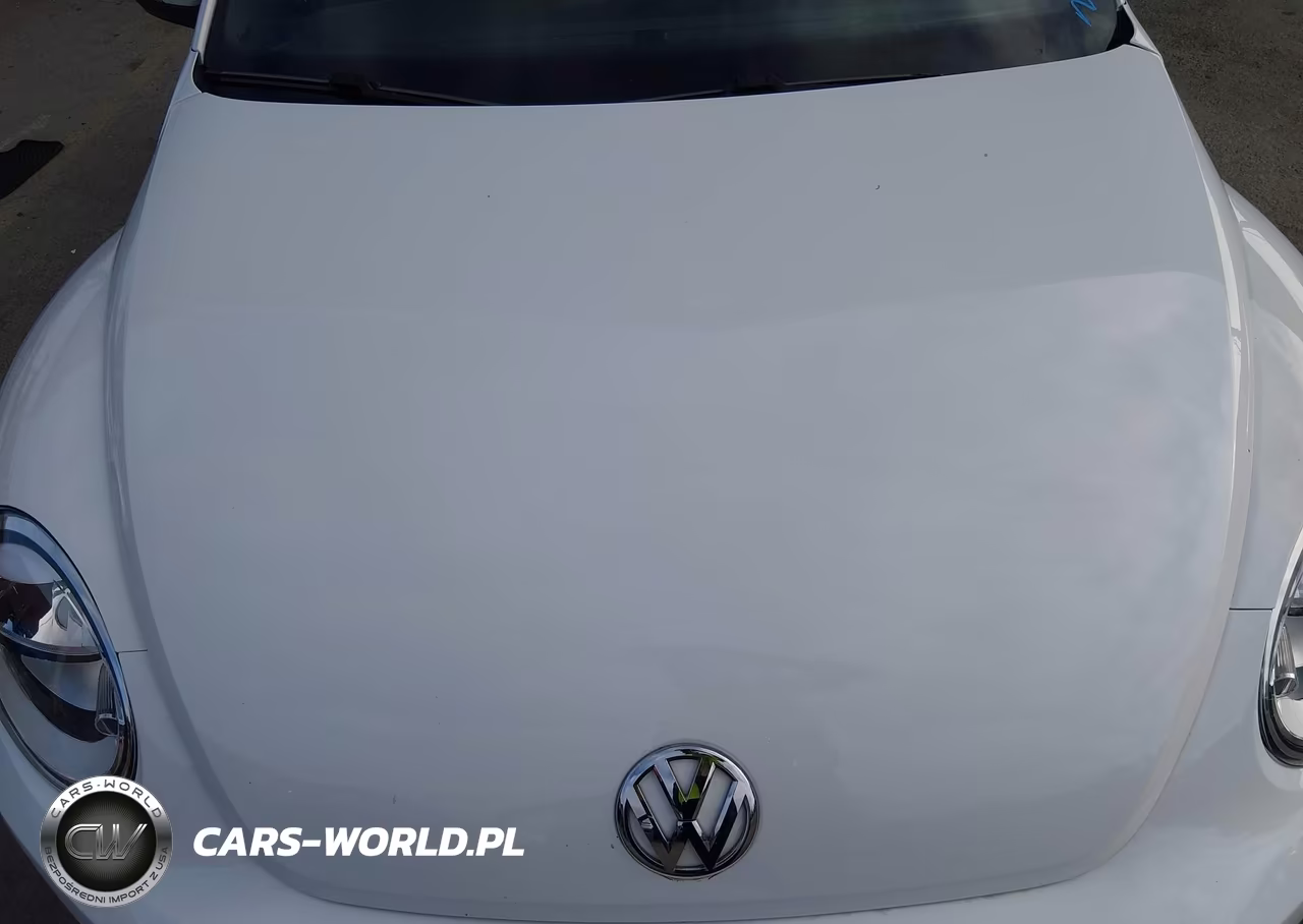 2018 Volkswagen Beetle 2.0T Coast-2.0T S VIN:3VWFD7AT6JM710127 - 10