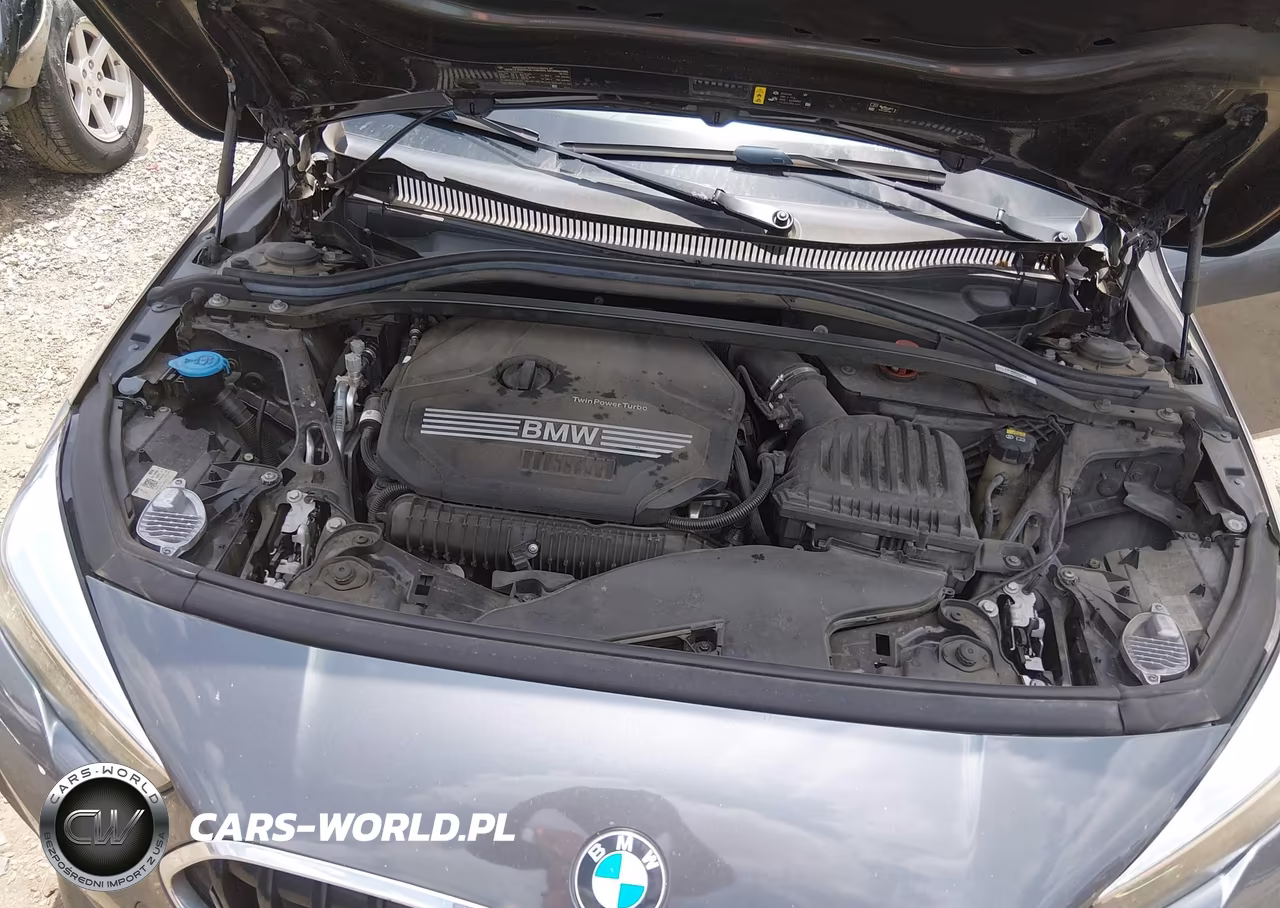 2021 BMW 228I Gran Coupe Sdrive VIN:WBA53AK03M7J02368 - 10