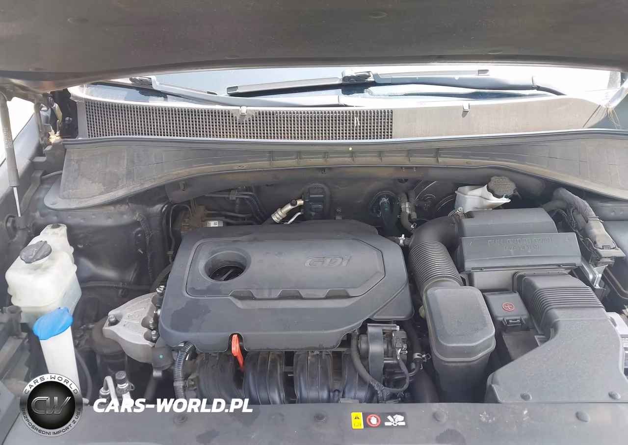 2019 Kia Sorento 2.4L L VIN:5XYPG4A39KG562518 - 10