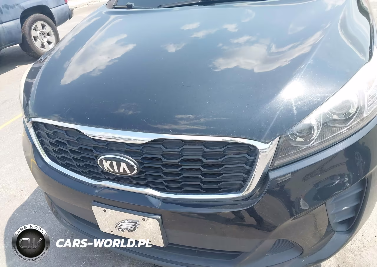 2019 Kia Sorento 2.4L L VIN:5XYPG4A39KG562518 - 6