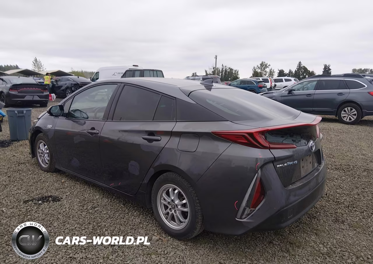 2019 Toyota Prius Prime Premium VIN:JTDKARFPXK3118329 - 3