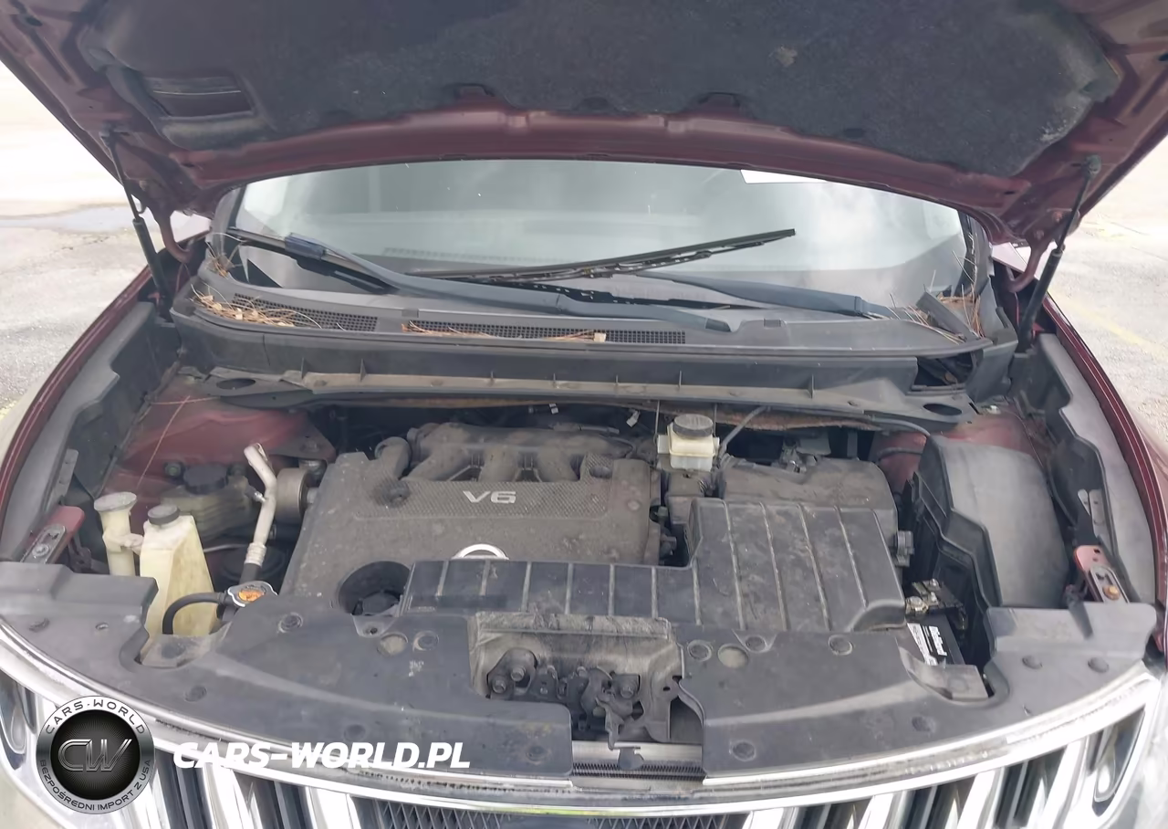 2010 Nissan Murano Sl VIN:JN8AZ1MU3AW021330 - 10