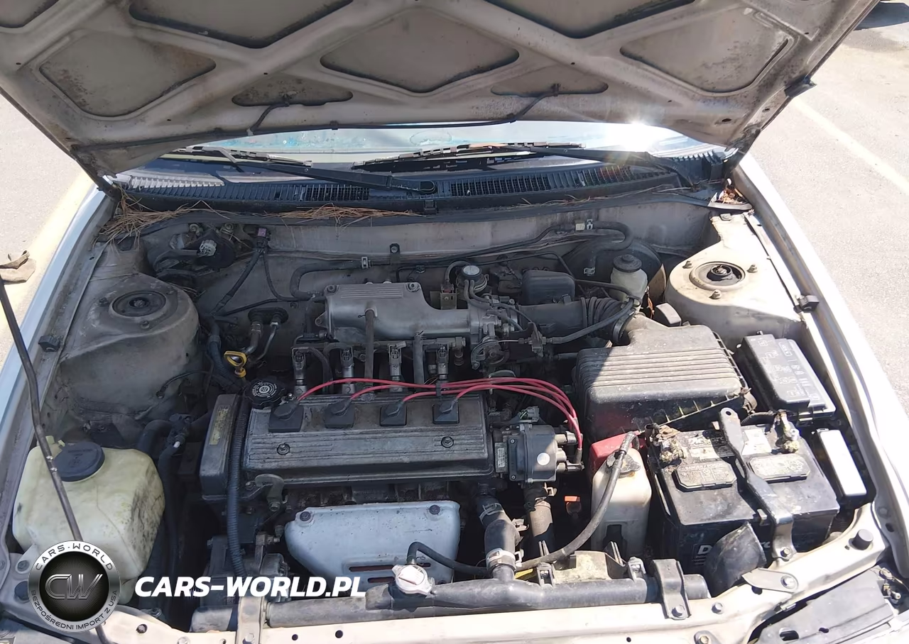 1997 Toyota Corolla Std VIN:1NXBA02E6VZ657105 - 10