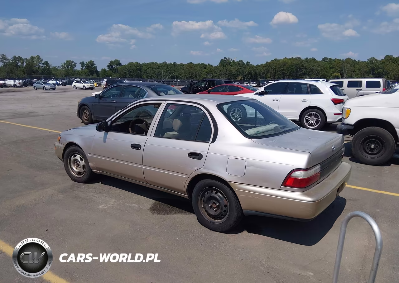 1997 Toyota Corolla Std VIN:1NXBA02E6VZ657105 - 3