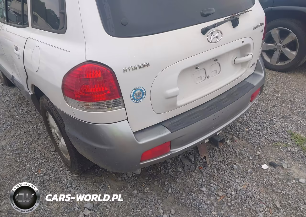 2005 Hyundai Santa Fe Gls VIN:KM8SC13D55U947339 - 13