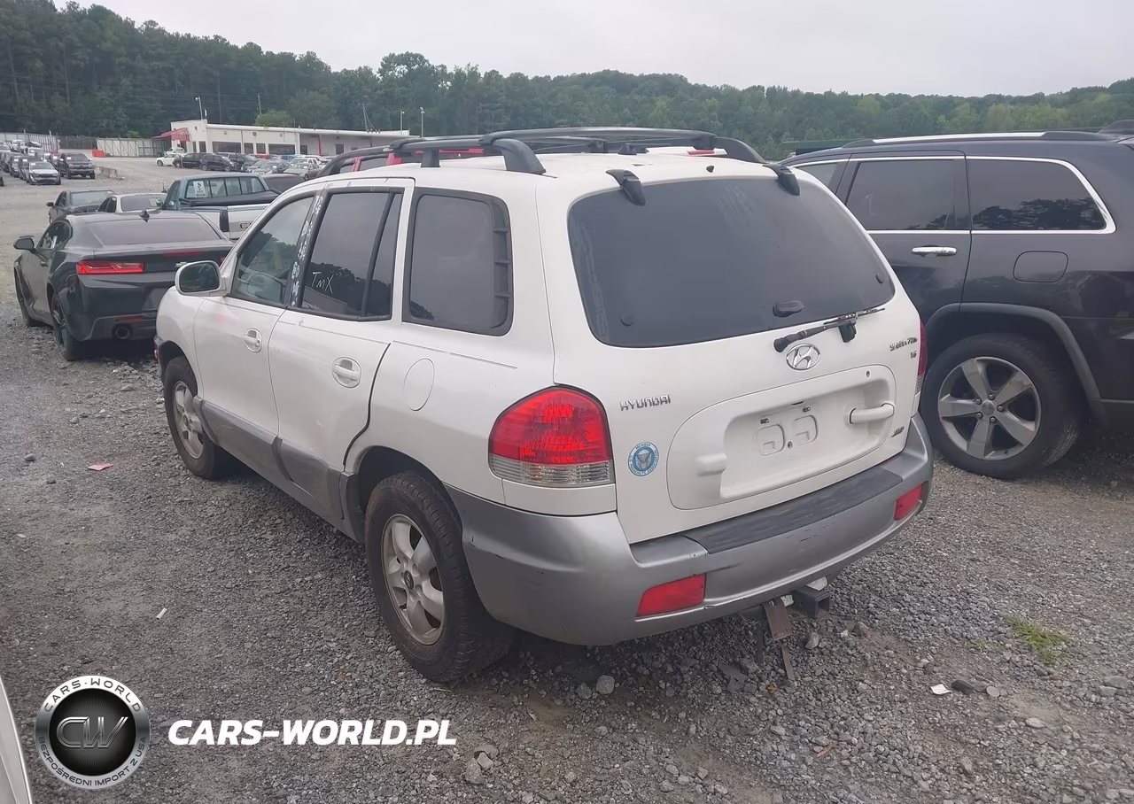 2005 Hyundai Santa Fe Gls VIN:KM8SC13D55U947339 - 3