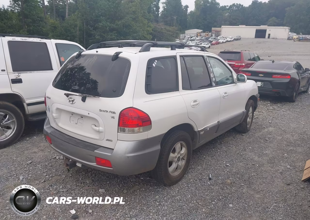 2005 Hyundai Santa Fe Gls VIN:KM8SC13D55U947339 - 4