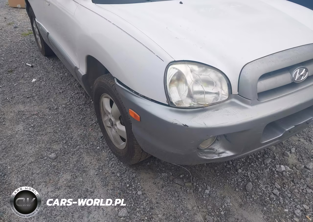 2005 Hyundai Santa Fe Gls VIN:KM8SC13D55U947339 - 6