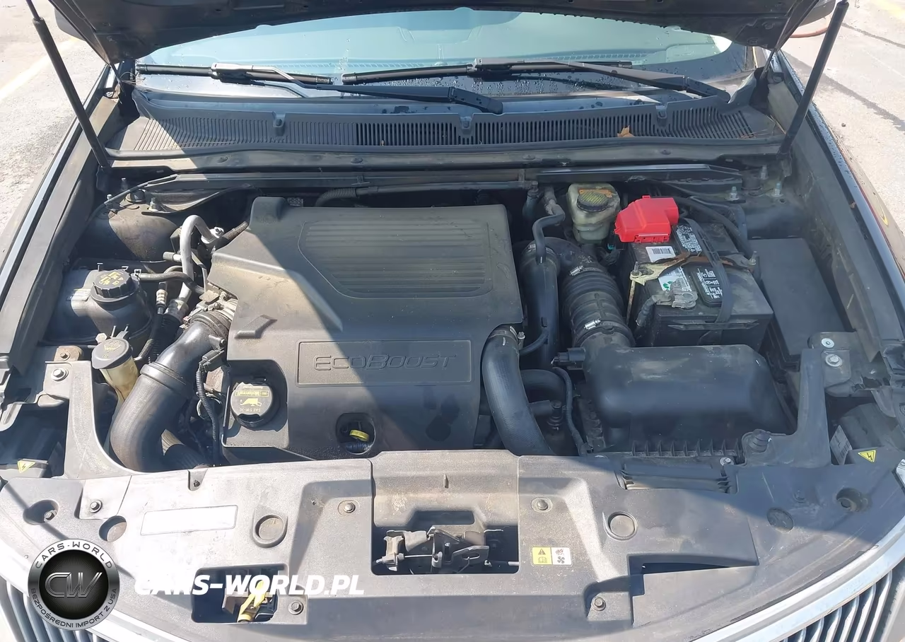 2013 Lincoln Mks Ecoboost VIN:1LNHL9FT4DG617426 - 10