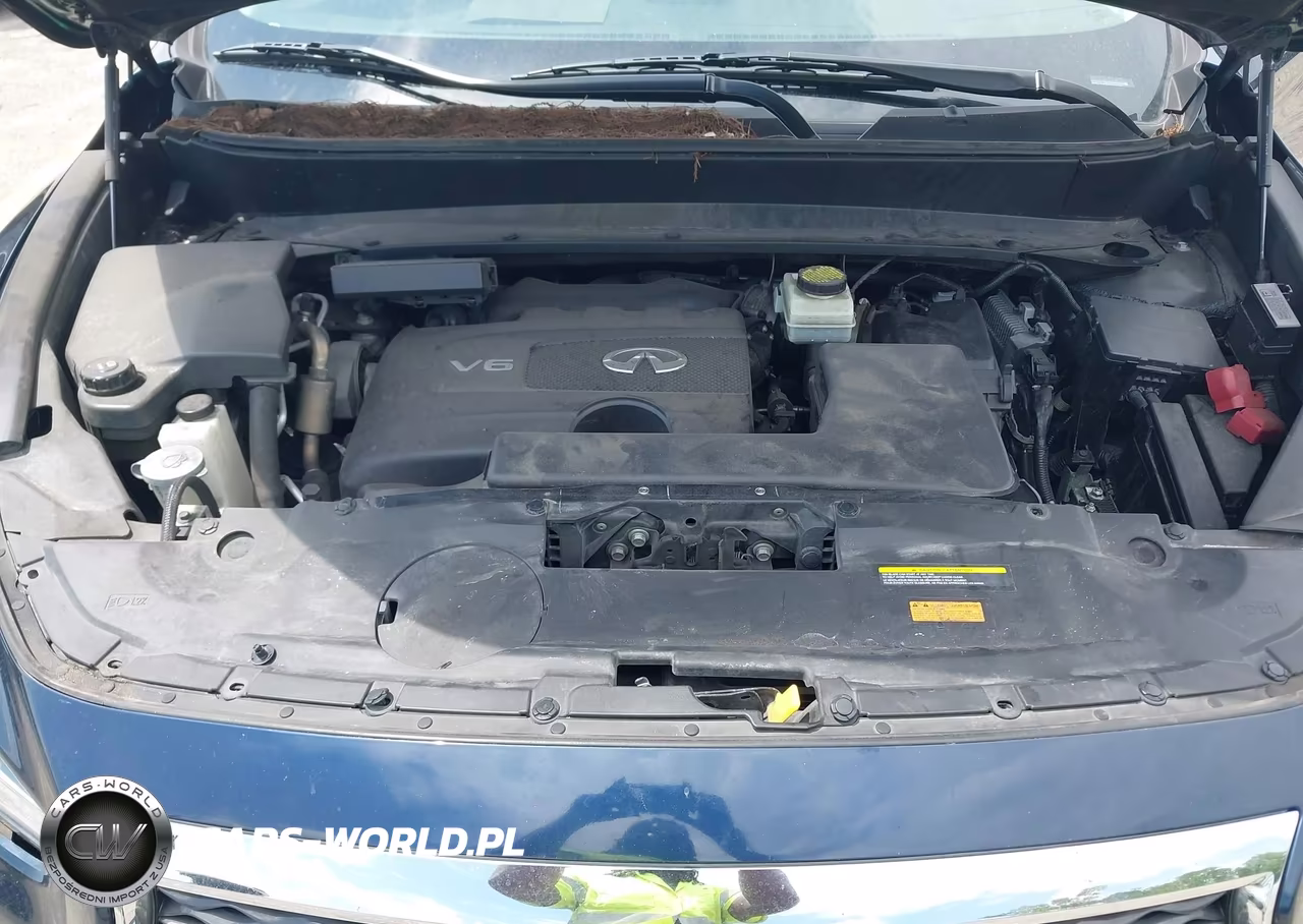 2019 Infiniti Qx60 Luxe VIN:5N1DL0MM7KC526158 - 10