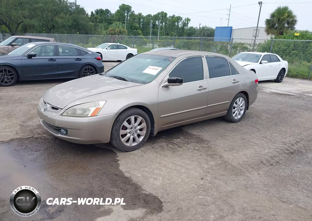 HONDA ACCORD VIN:1HGCM66373A031056 - 2