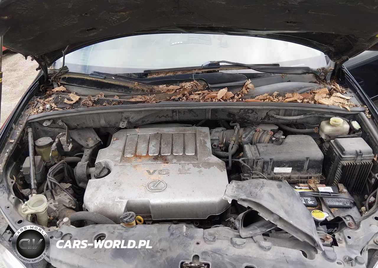 2007 Lexus Rx 350 VIN:2T2HK31UX7C043191 - 10
